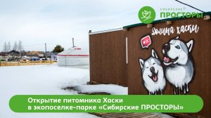 Открытие питомника хаски в экопоселке "Сибирские просторы"