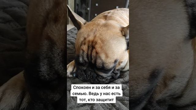 Сторож года