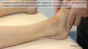 Судороги нижних конечностей