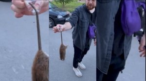 МАКС ВАЩЕНКО С ДРУГОМ ХОТЯТ ПРАНКАНУТЬ КИРИЛЛА КУРЬЯНА😂