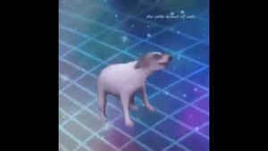 Dance till your dead doggo