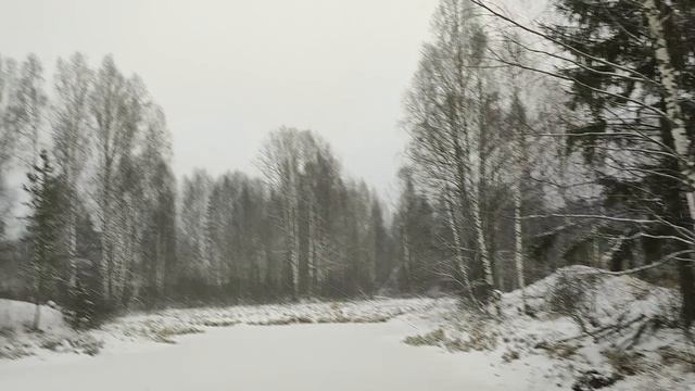 Зимний пейзаж: Ледяное озеро, густой снегопад и заснеженный лес | Natures Quiet Retreat