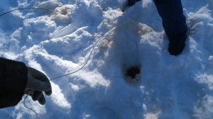 ночь в таёжной избушке...!