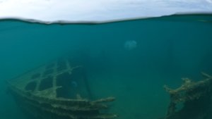 Веселовка 2024