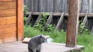 Сахалыы влог | мин сайыным, Чыаппара, Павловскай ыһыахтара