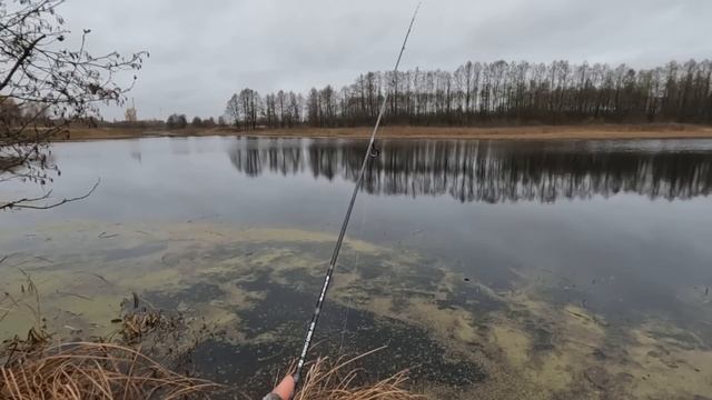 ОСЕННИЙ ЖОР ОКУНЯ! КАК ОНИ ЗАГИБАЮТ, ПЕСНЯ! Рыбалка на СПИННИНГ! МИКРО-ДЖИГ ОСЕНЬЮ ТЕМА! смотреть онлайн