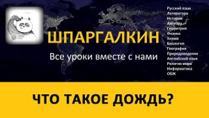 Дождь: что это такое, как образуется, виды, интересные факты