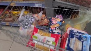 Работаем в огороде на юге. Варька пробралась в курятник. Ремонт...