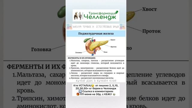 Полезная штука, берегите #челленджтрансформация смотреть онлайн