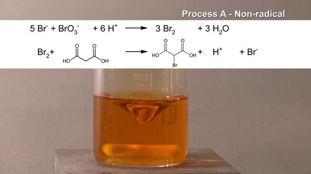 Everything about the Belousov Zhabotinsky reaction смотреть онлайн
