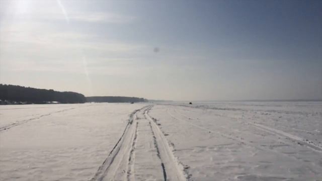 Family Team. "Семейный выходной в бору" смотреть онлайн