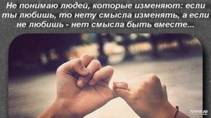 Face2Face - Кошка