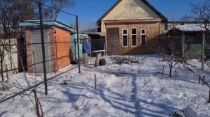 ЕйскИ где же работает Таня?☺️ Поздравление друзьям. Наш курятник. Инкубационное яйцо и гибриды F1