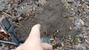 нашёл монетное дерево, зимний коп по старине