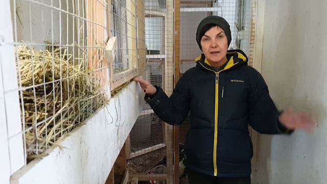 Курятник из морского контейнера. Пользуемся 3 года. Удачные решения и ошибки. Автономия в курятнике. смотреть онлайн