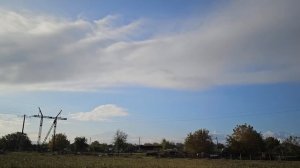 Всё  дело в отношении к голубям