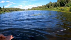 НЕУДАЧНАЯ РЫБАЛКА НА РЕКЕ ЛУГА