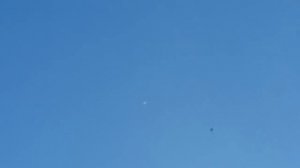 14.05.18. Голуби не спят и сапсан тоже.