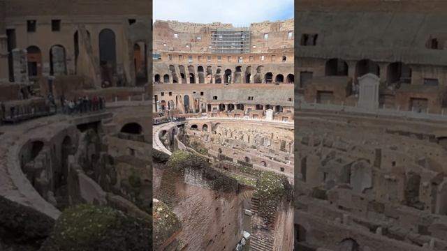 Colosseo. Roma / Колизей. Рим.