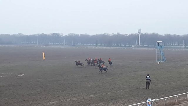 Кокпар на ипподроме г.Талдыкорган продолжение (20.03. 2024г)