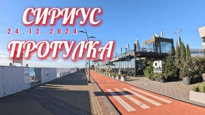 СИРИУС / ПРОГУЛКА / ЖАРА +18 / 24 декабря 2024.