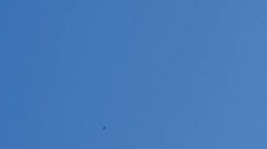 29.09.18. 15.40 Вечерний гон голубей.