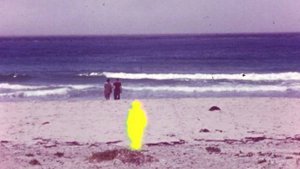 William Fitzsimmons - I Will Not Forget You