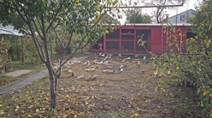 Молодёжь знакомство с улицей и охрана