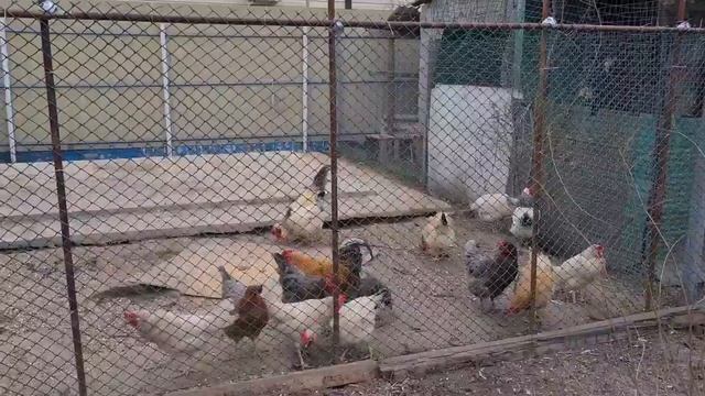 ЕйскОбзор купленной квартиры. Огородные работы. Ремонт в домике у моря))
