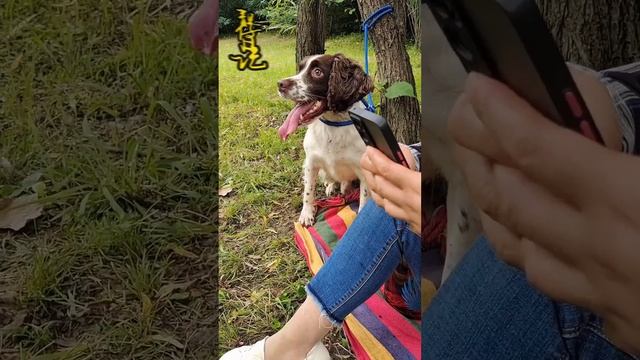 妈妈让仔仔帮忙拆快递，仔仔的两种做法太气人，仔仔：我的肉肉我当然卖力【靓仔日记】 смотреть онлайн