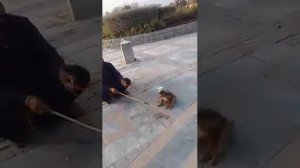 Бессердечные люди