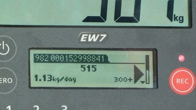 Tru-Test EziWeigh7 Weigh Scale Indicator "How-To" - Weigh with EID смотреть онлайн