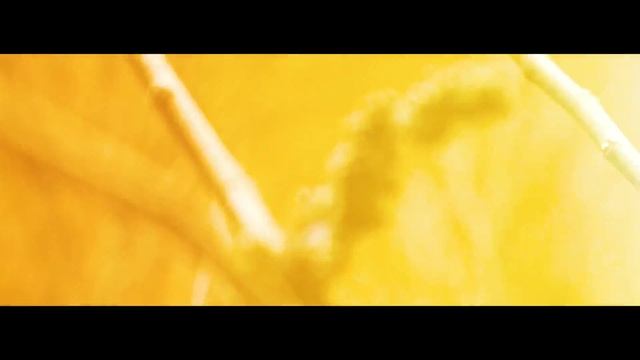 Jupiter Hollow - The Mill (Official Music Video) смотреть онлайн