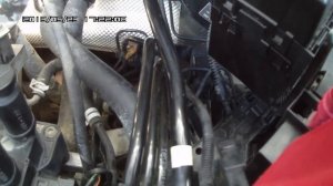 Шланги и патрубки на двигателе Ford Fusion