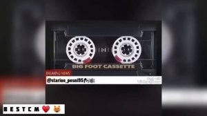 Вуйт1 Я1 Ма Эшар Юкх Из😻🔥Ма Къам Ди Ахь Са Дог Миланааа