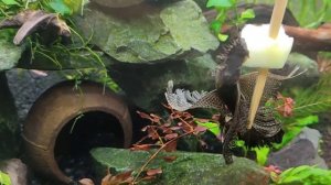 15 февраля 2024 г.