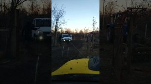 Лайф-хак от джипера или как уговорить быка залезть в газель ))