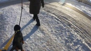 Команда Нельзя! Спасибо Юрию Суханову за консультацию и видео уроки!