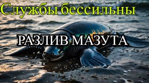 Разлив мазута на Черноморском побережье: Экологическая катастрофа