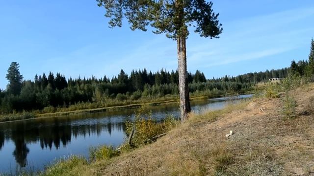 Поисковый МАГНИТ Найденное  Ружьё.