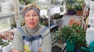 Думала что никогда не буду это сеять! Но открыла новый сезон. Разговор о связи со мной
