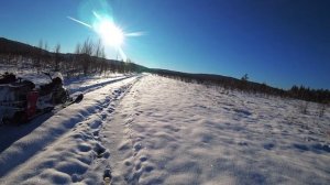 Снегоходы против багги едем в тайгу к фотоловушкам