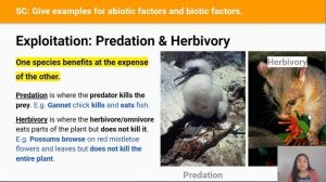 Ecology, Biological Complexity, & Species Interactions (Video 2 in 2.6 Series)