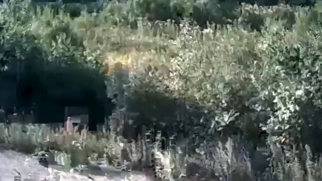 Кочевая Пасека с квадрокоптера