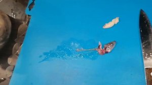 лучший способ чистить корюшку | как почистить корюшку