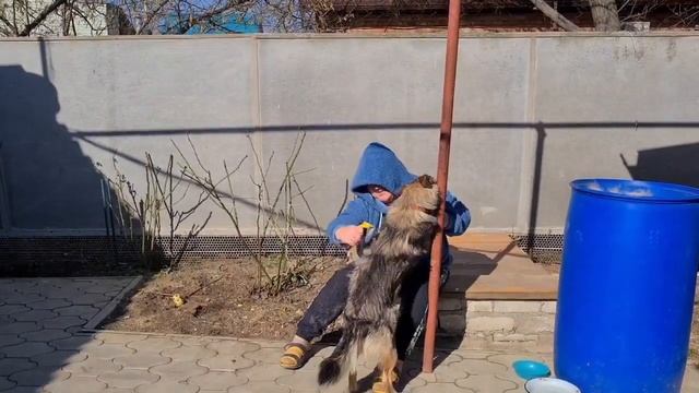 ЕйскВычёсываю Варьку. Посылочки с Али. Ремонт...