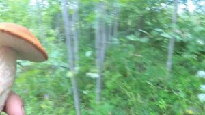 КАК ЖЕ ТЯЖЕЛО ЖИТЬ НА ХУТОРЕ.