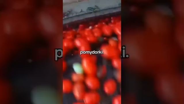 Помидорки