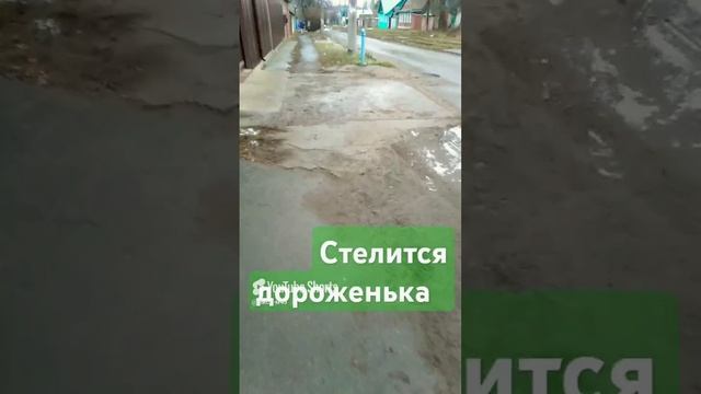 Бездорожье... 🏠