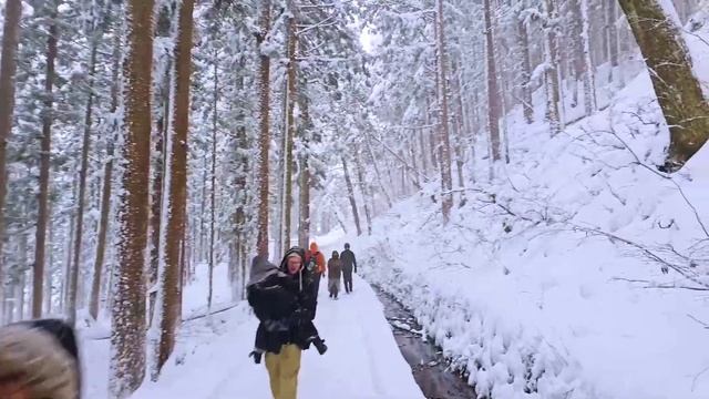 Парк снежных обезьян Япония Нагано (субтитры) смотреть онлайн